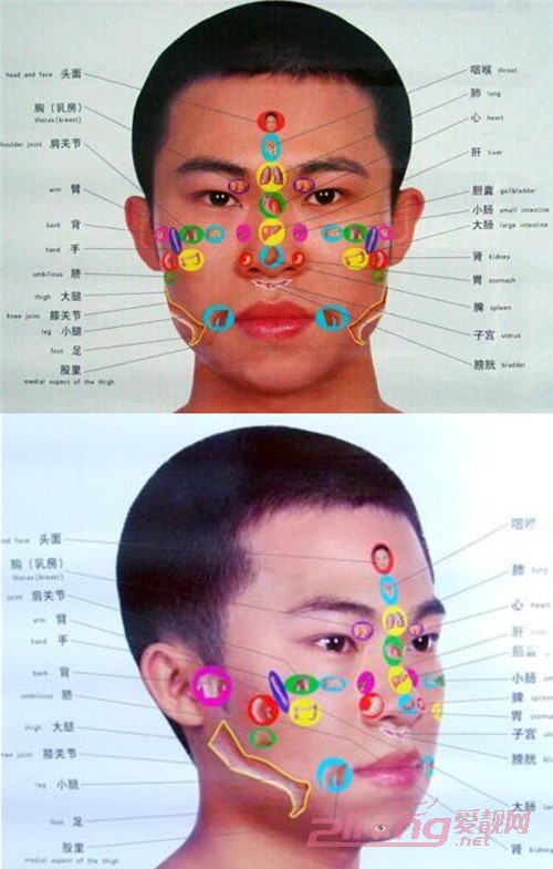 男生长痘面部解析图_面部长痘图_面部长痘分析图